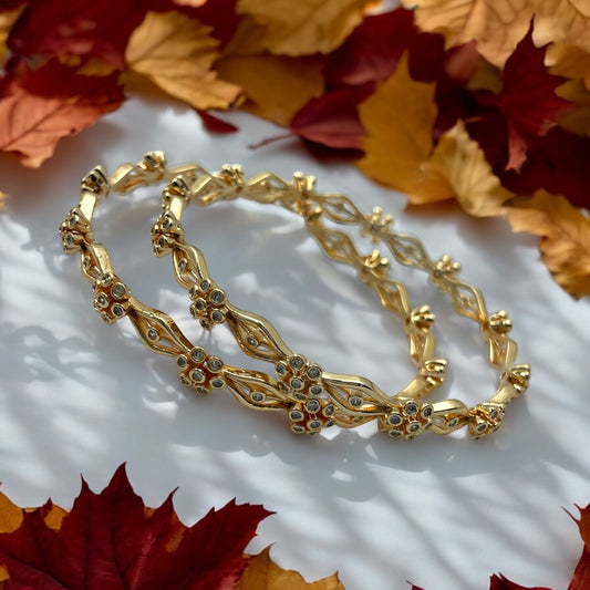 Rajkumari Antique Bangle Set