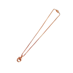 Rose Gold Apple Charm Pendant Necklace
