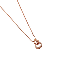 Rose Gold Lucky Horseshoe Pendant Necklace