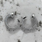 Luxe Crystal Crescent Earrings